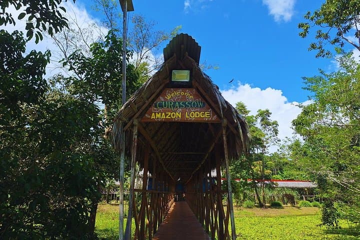 6-Day Amazon Wildlife & Camping at Curassow Lodge — Tamshiyacu-Tahuayo Reserve photo 3
