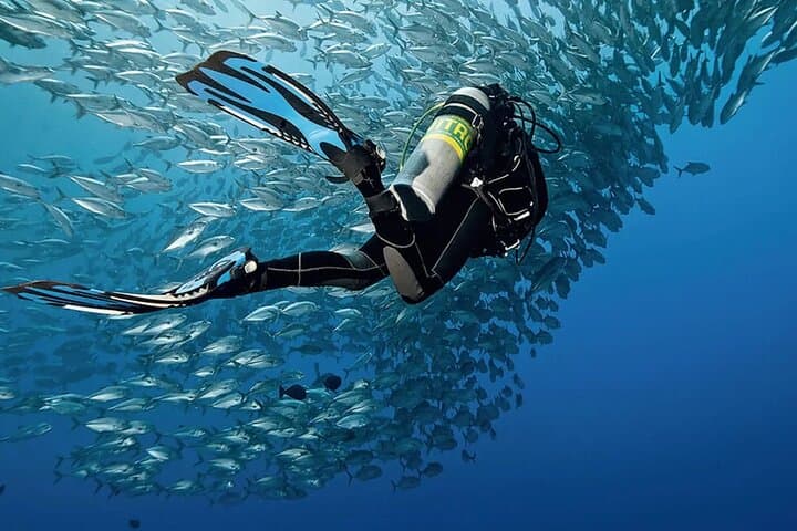 Discover Scuba Diving in Dahab — Introductory PADI Dive Experience photo 6