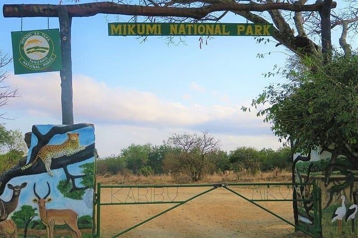Mikumi National Park Day Safari from Zanzibar — Full-Day Game Drive & Flight photo 1