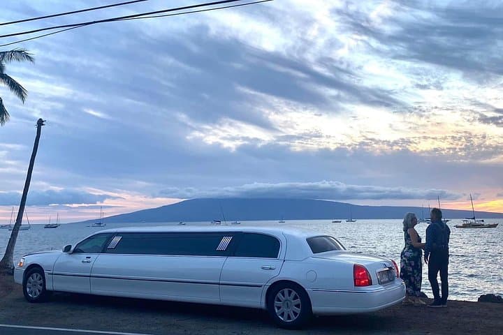 Maui Historical Island Tour — Lahaina to Iao Valley, Honolua Bay & Turtle Lookouts photo 3