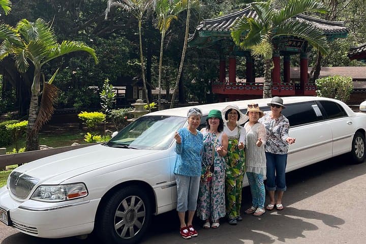 Maui Historical Island Tour — Lahaina to Iao Valley, Honolua Bay & Turtle Lookouts photo 1