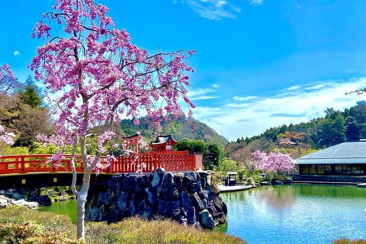 Daruma Magic and Minoh Falls: Osaka's Secret Cultural Hike photo 5