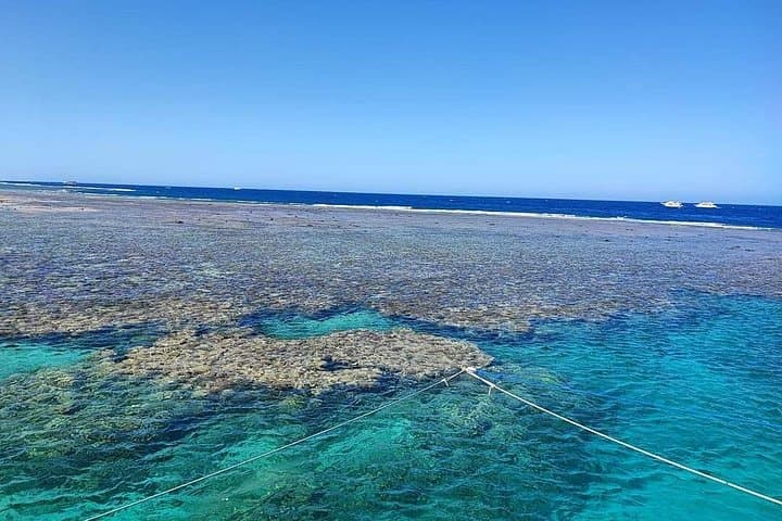 Snorkel Marsa Mubarak: Turtles & Dugongs Day Trip from Marsa Alam photo 6
