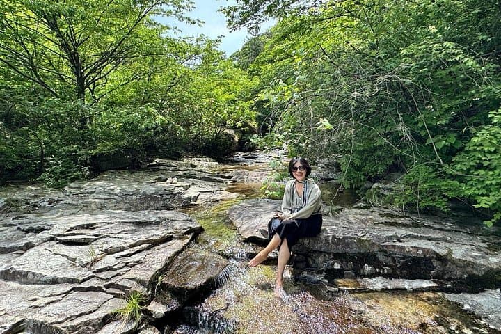 Boseong Green Tea Fields & Haepyeong Lake Trail — Private Day Tour from Gwangju photo 4