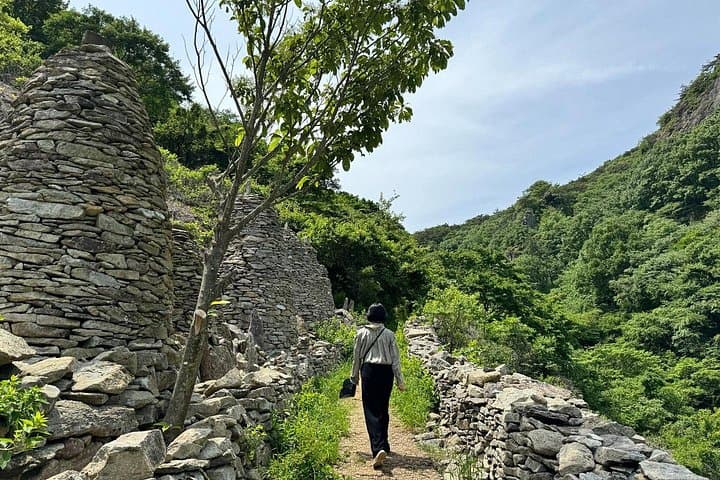 Boseong Green Tea Fields & Haepyeong Lake Trail — Private Day Tour from Gwangju photo 2