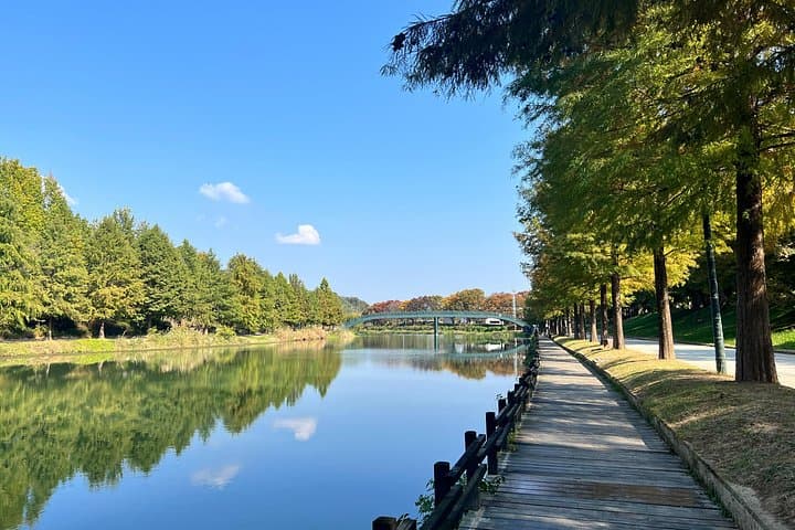 Damyang Bamboo Forest Private Day Tour from Gwangju — Juknokwon, Soswaewon & Slow-City Samjinae photo 3