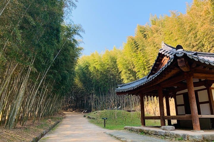Damyang Bamboo Forest Private Day Tour from Gwangju — Juknokwon, Soswaewon & Slow-City Samjinae