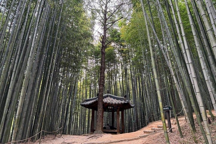 Damyang Bamboo Forest Private Day Tour from Gwangju — Juknokwon, Soswaewon & Slow-City Samjinae photo 4