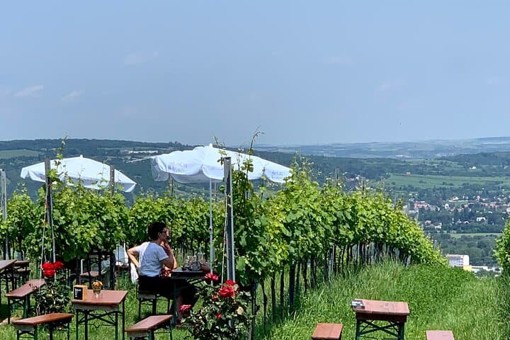 Nussberg Walking Tour & Viennese Wine Tasting — Private Hike from Vienna