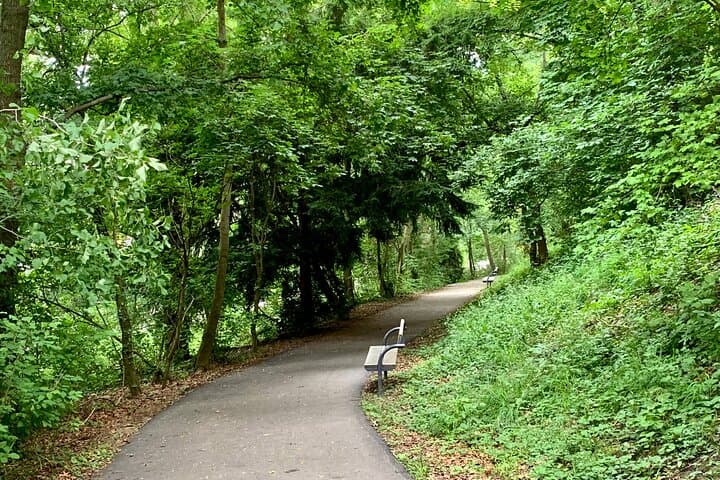 Nussberg Walking Tour & Viennese Wine Tasting — Private Hike from Vienna photo 3