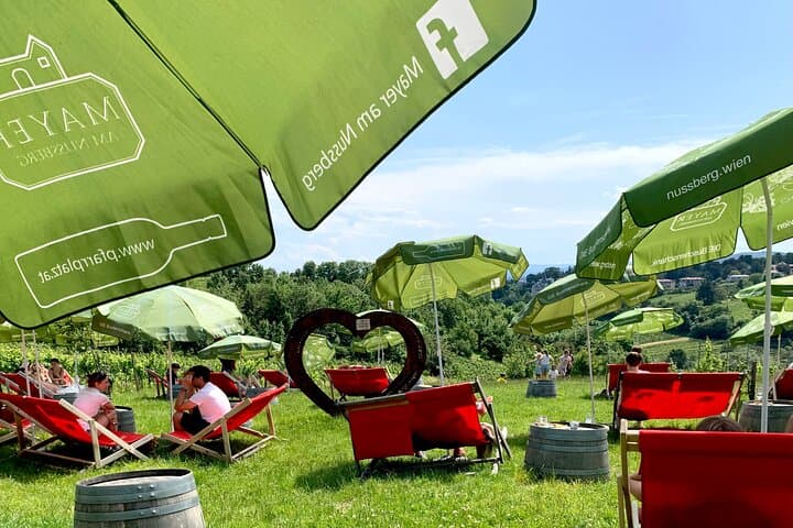 Nussberg Walking Tour & Viennese Wine Tasting — Private Hike from Vienna photo 6