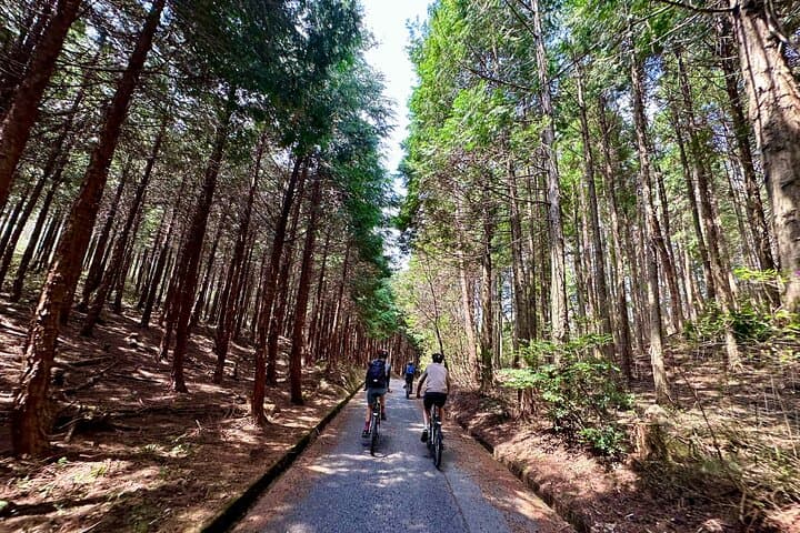 E‑Bike Through Oasa: Half‑Day Countryside Cycling from Hiroshima photo 5
