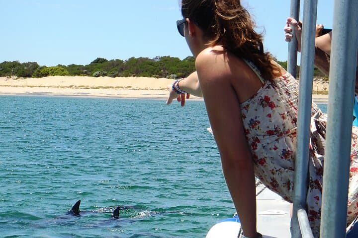 Koombana Bay Dolphin Eco-Cruise: Bunbury Guided Dolphin Watching Tour photo 2