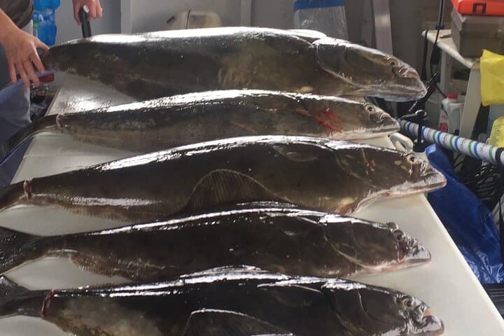 Half-Day Halibut Fishing at Icy Strait Point — Hoonah Small-Boat Charter photo 6
