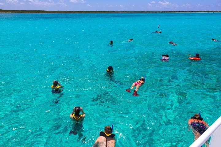 Snorkel White Island & Ras Mohammed: Day Trip from Sharm El Sheikh photo 4