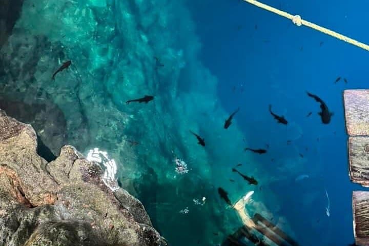 cenotes-pink-waters-and-chichen-itza-tizimin-yucatan photo 3