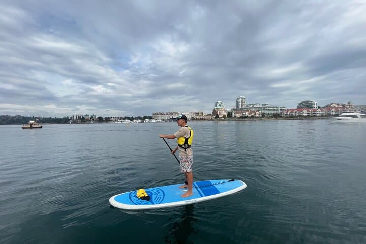 Paddle the Inner Harbour: Guided SUP Tour from Banfield Park, Victoria photo 2