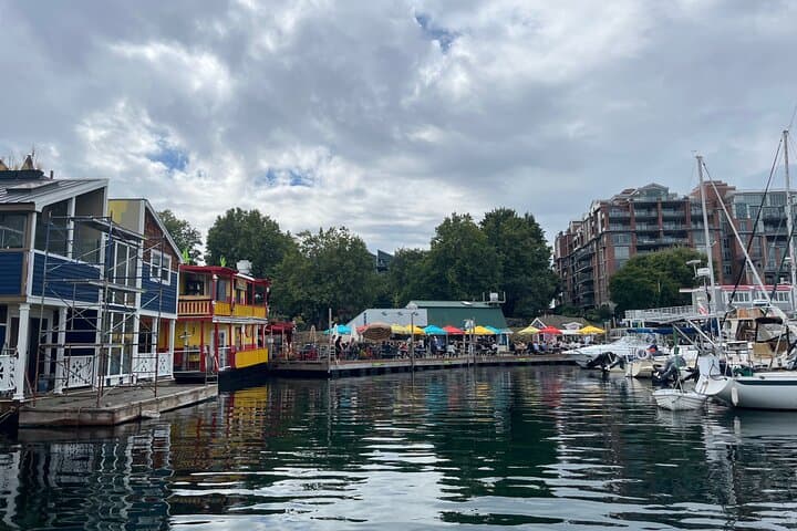 Paddle the Inner Harbour: Guided SUP Tour from Banfield Park, Victoria photo 4
