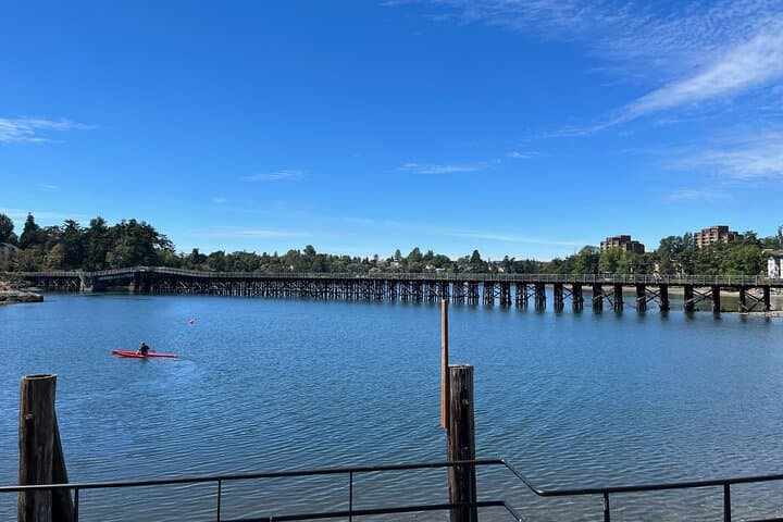 Paddle the Inner Harbour: Guided SUP Tour from Banfield Park, Victoria photo 6