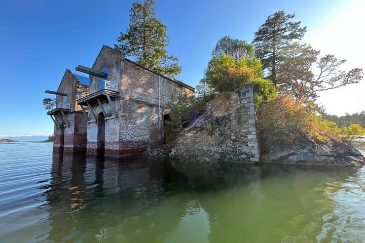 Paddling Esquimalt Harbor to Cole Island — Guided Kayak Tour from Stewart Beach