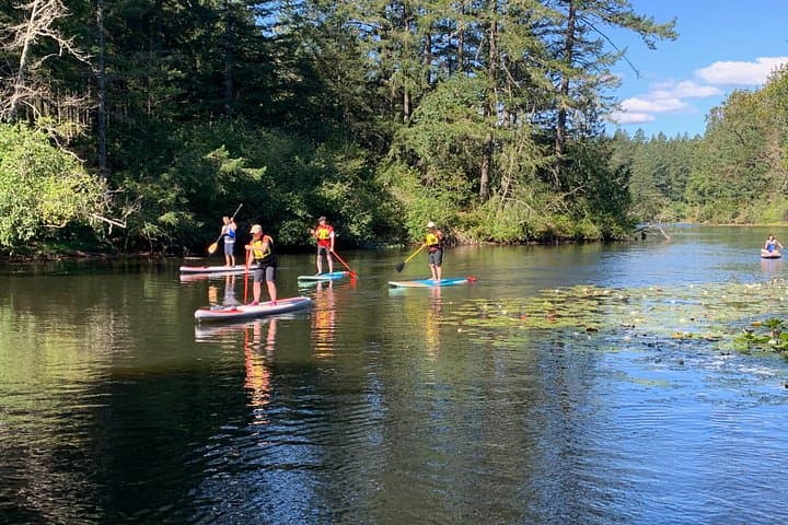 Paddling Thetis Lake: Two-Hour SUP Tour on Victoria’s Forested Lakes photo 2