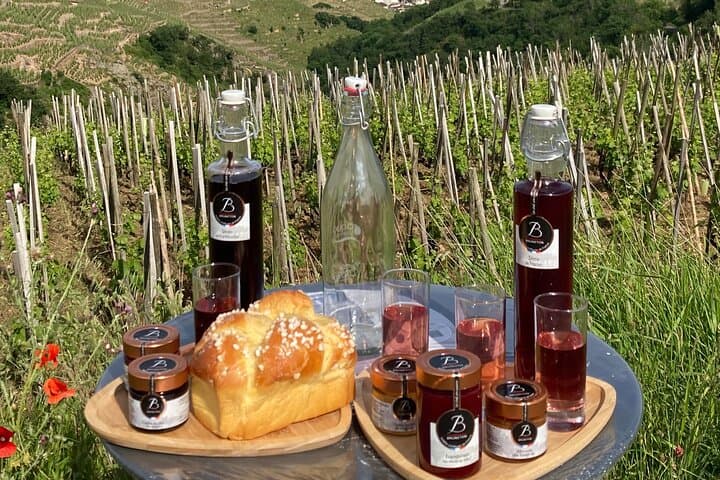 Family Vine Walk: Guided Côte Rôtie Tour with Tasting and Views photo 2