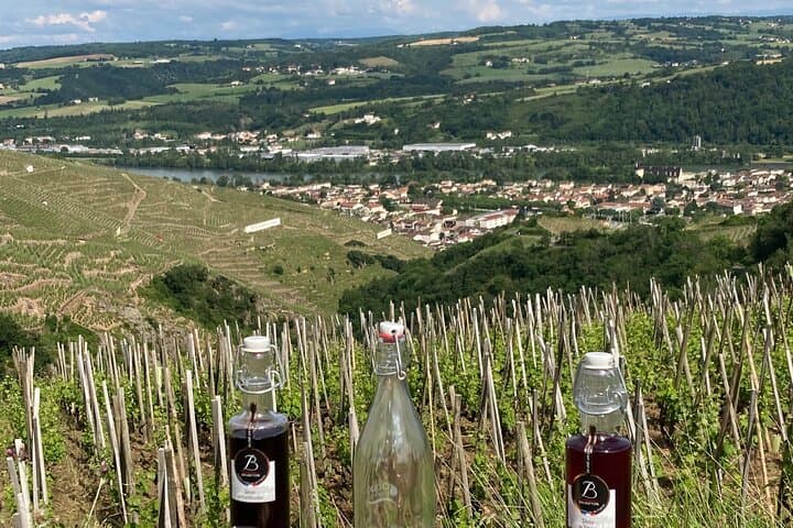 Family Vine Walk: Guided Côte Rôtie Tour with Tasting and Views photo 4