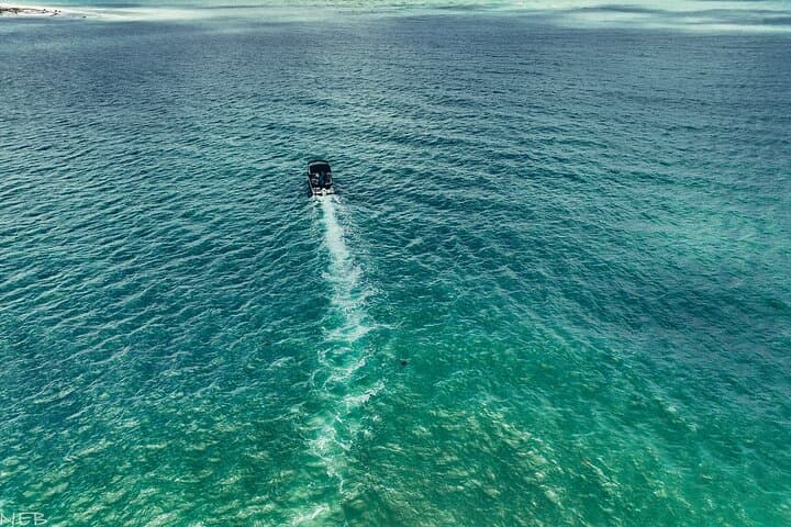 Clearwater Beach Private Pontoon Pontoon Tours to Caladesi & Three Rooker photo 2