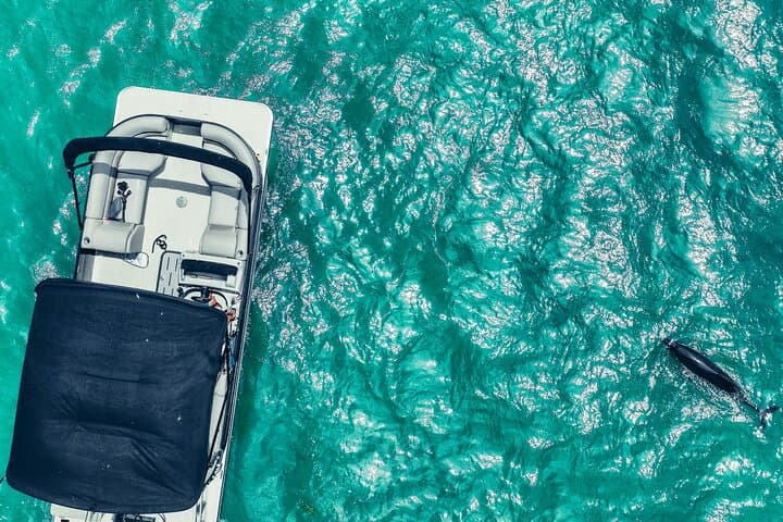 Clearwater Beach Private Pontoon Pontoon Tours to Caladesi & Three Rooker