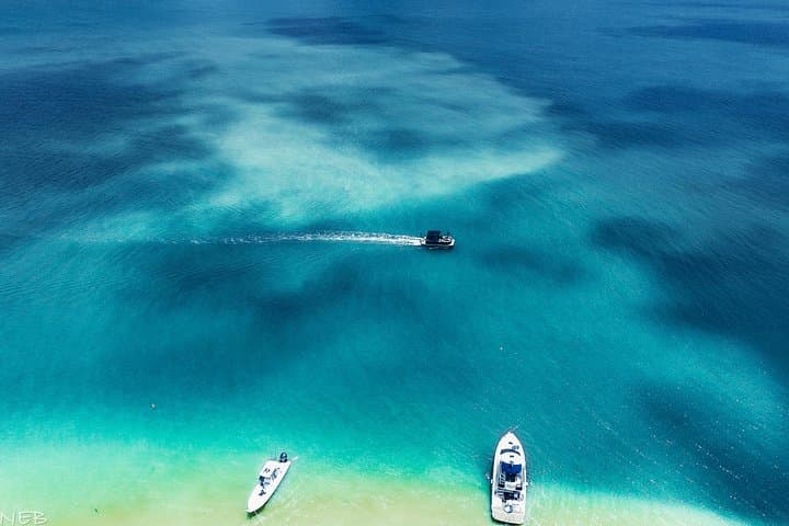 Clearwater Beach Private Pontoon Pontoon Tours to Caladesi & Three Rooker photo 4