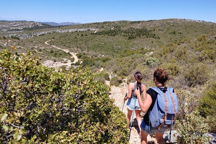 Hike in the Footsteps of Marcel Pagnol — Garlaban Film Locations & Provençal Picnic