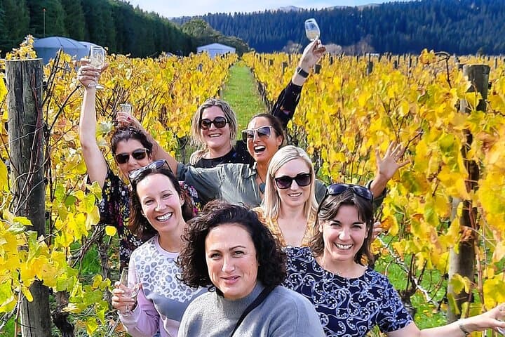Martinborough Winery Tour from Wellington — Half-Day Cellar Door Tasting & Remutaka Summit photo 4