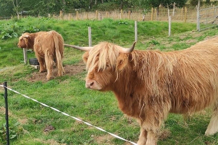 Private Inverness & Loch Ness Day Tour: Clava Cairns, Culloden & Urquhart Castle photo 5