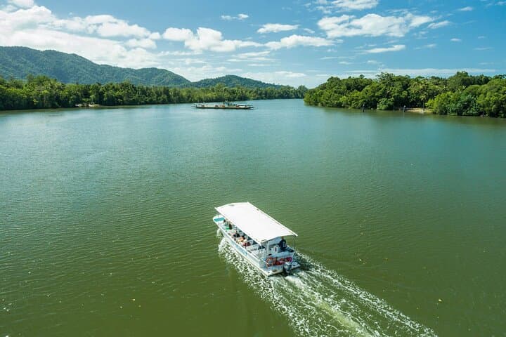 Daintree Rainforest & Cape Tribulation Full-Day Tour — Where Rainforest Meets Reef photo 5