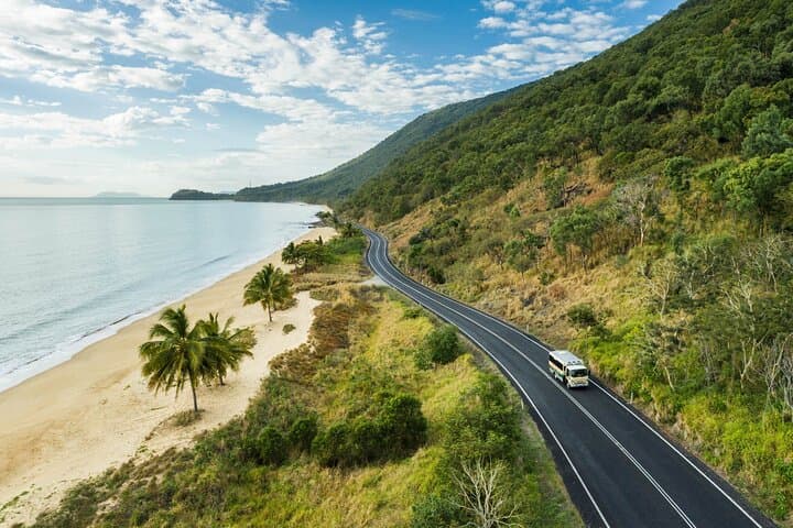 Daintree Rainforest & Cape Tribulation Full-Day Tour — Where Rainforest Meets Reef photo 2