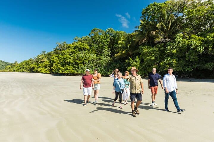 Cairns Super Saver: Great Barrier Reef, Daintree & Kuranda Rail and Skyrail