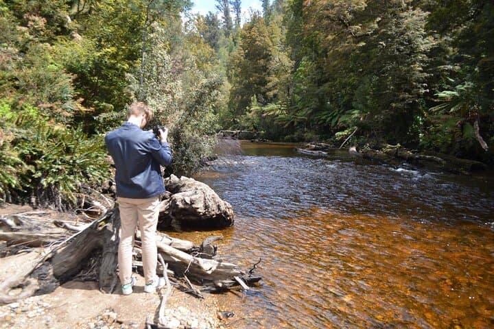 Private Hobart Shore Excursion: Mt Wellington, Richmond & Russell Falls Day Tour photo 6