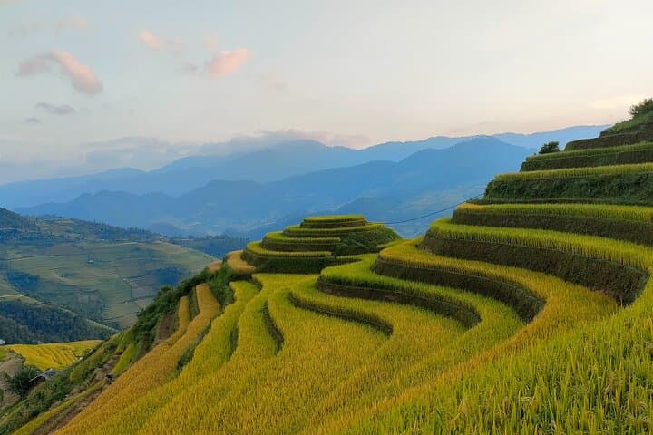 Full-Day Private Trek Through Mu Cang Chai Rice Terraces photo 4