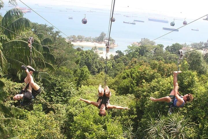 MegaZip Sentosa: 450m Zipline Over Jungle and Siloso Beach
