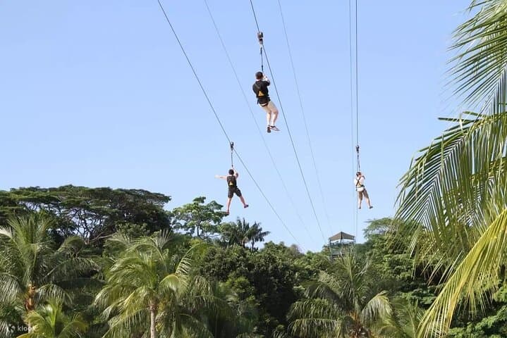MegaZip Sentosa: 450m Zipline Over Jungle and Siloso Beach photo 4