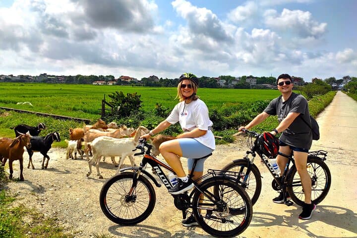 Ninh Binh 2-Day Highlights: Mua Cave, Tam Coc & Thung Nham Overnight from Hanoi photo 4
