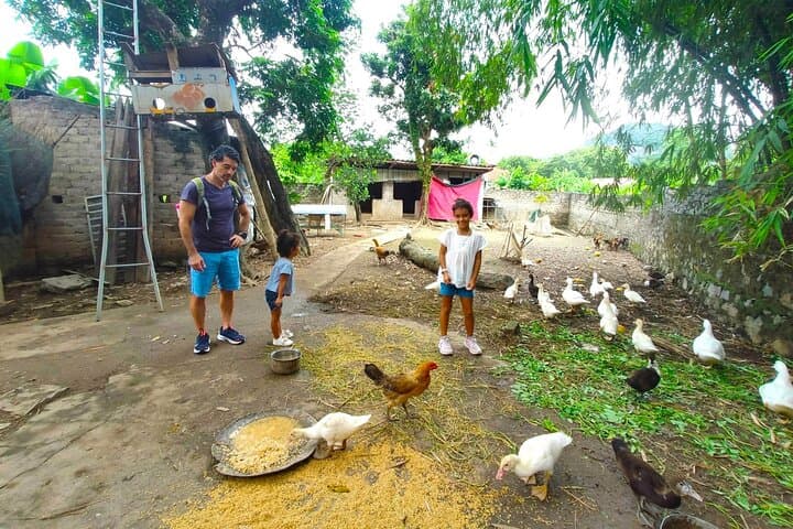Ninh Binh Highlights Day Trip from Hanoi — Mua Cave, Tam Coc & Hoa Lu photo 5
