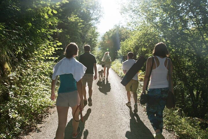 Linderhof Castle Hike: Bavarian Meadows, Forests & Castle Cuisine photo 3