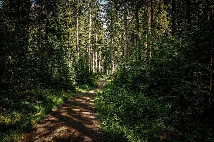 Linderhof Castle Hike: Bavarian Meadows, Forests & Castle Cuisine photo 5