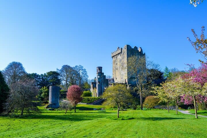 Classic Cork Day Tour: Blarney Castle & Kinsale from Cork