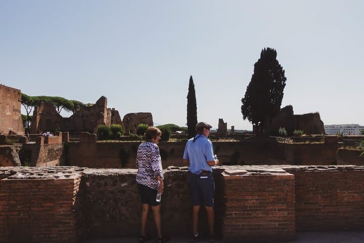 Skip-the-Line Colosseum, Palatine Hill & Roman Forum Small-Group Tour photo 4