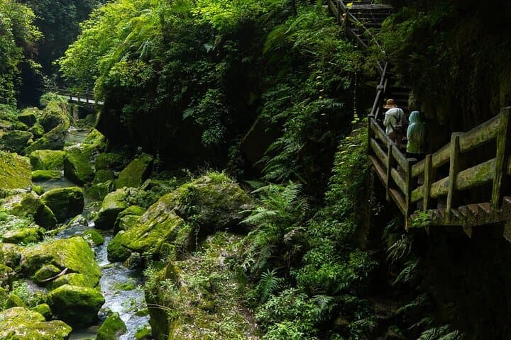 Wulong Karst Private Day Tour — Three Natural Bridges & Longshuixia Gap photo 5