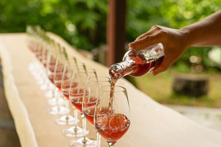 Petite Nation Wine & Cider Day Tour from Ottawa & Gatineau: Tastings, Cider Mills & Farm Lunch photo 4