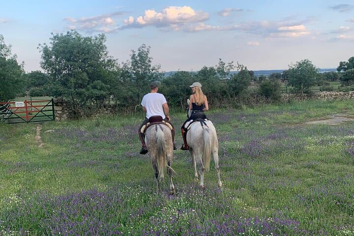 Horseback Riding from Madrid to Manzanares el Real — 2‑Hour Equestrian Farm Ride