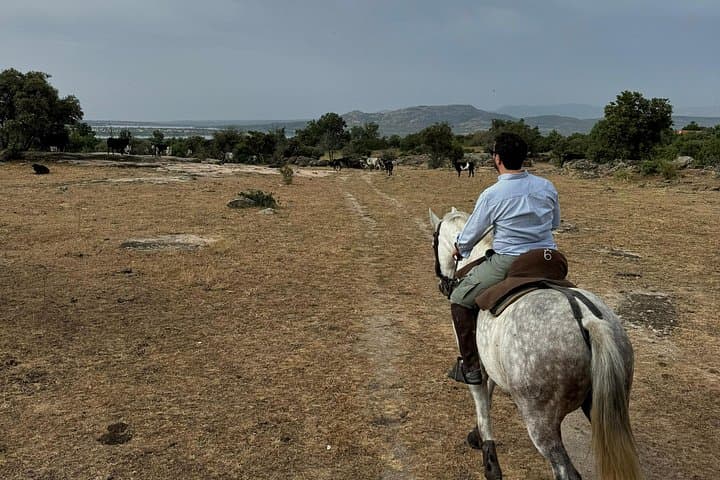 Horseback Riding from Madrid to Manzanares el Real — 2‑Hour Equestrian Farm Ride photo 3